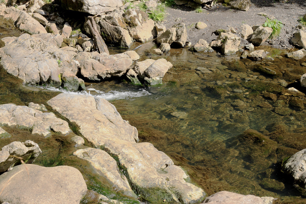 Looking down stream